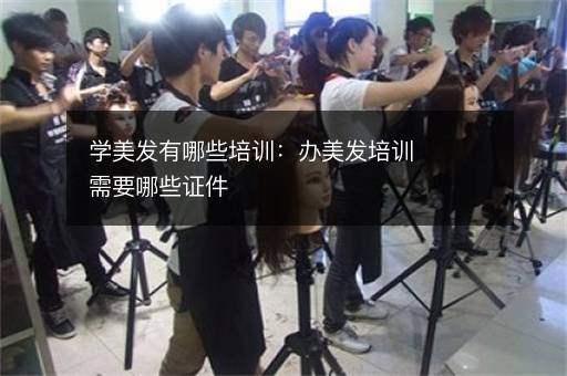 学美发有哪些培训：办美发培训需要哪些证件