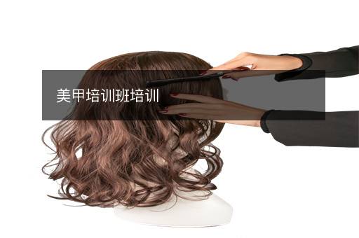 美甲培训班培训