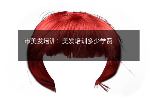 市美发培训：美发培训多少学费