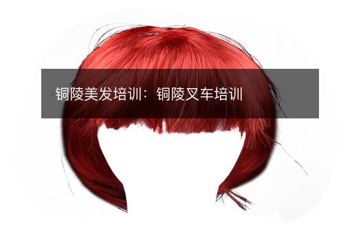 铜陵美发培训：铜陵叉车培训