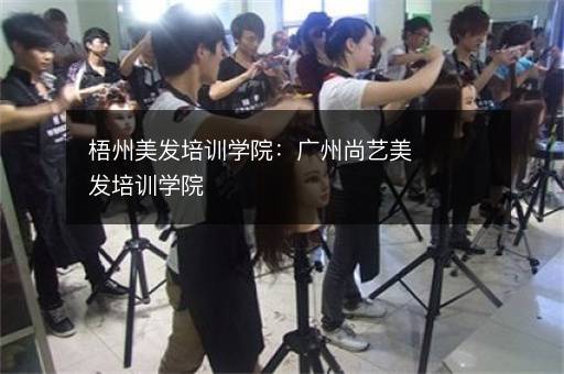 梧州美发培训学院：广州尚艺美发培训学院