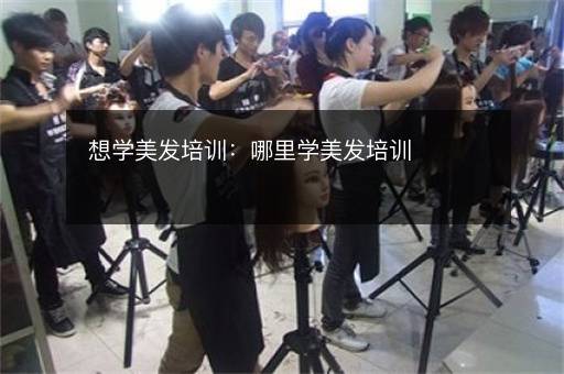 想学美发培训：哪里学美发培训