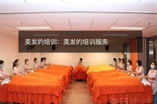 美发的培训：美发的培训服务