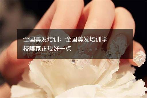 全国美发培训：全国美发培训学校哪家正规好一点