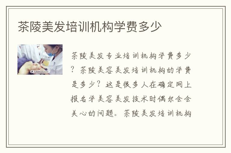 茶陵美发培训机构学费多少